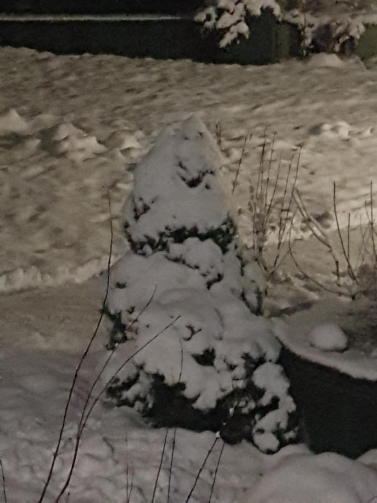 Stas -Przy Szkole Nr 3 W Skawie Skawa Bilik gambar