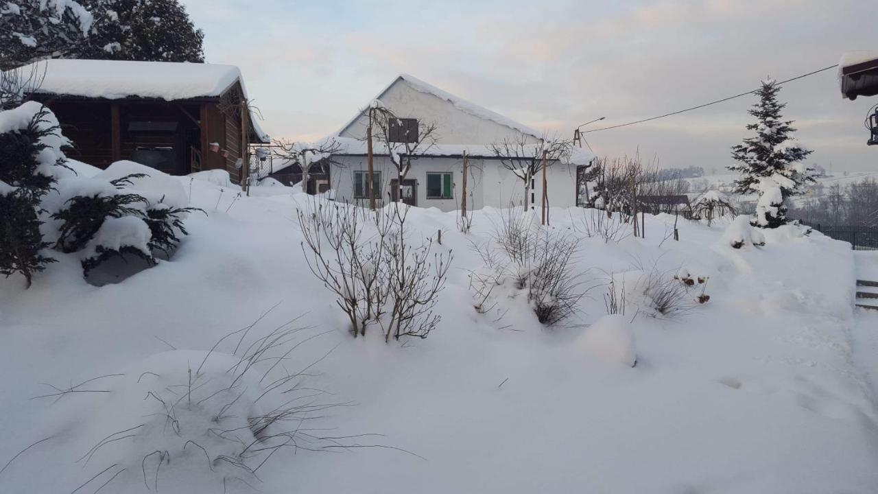 Stas -Przy Szkole Nr 3 W Skawie Skawa Luaran gambar