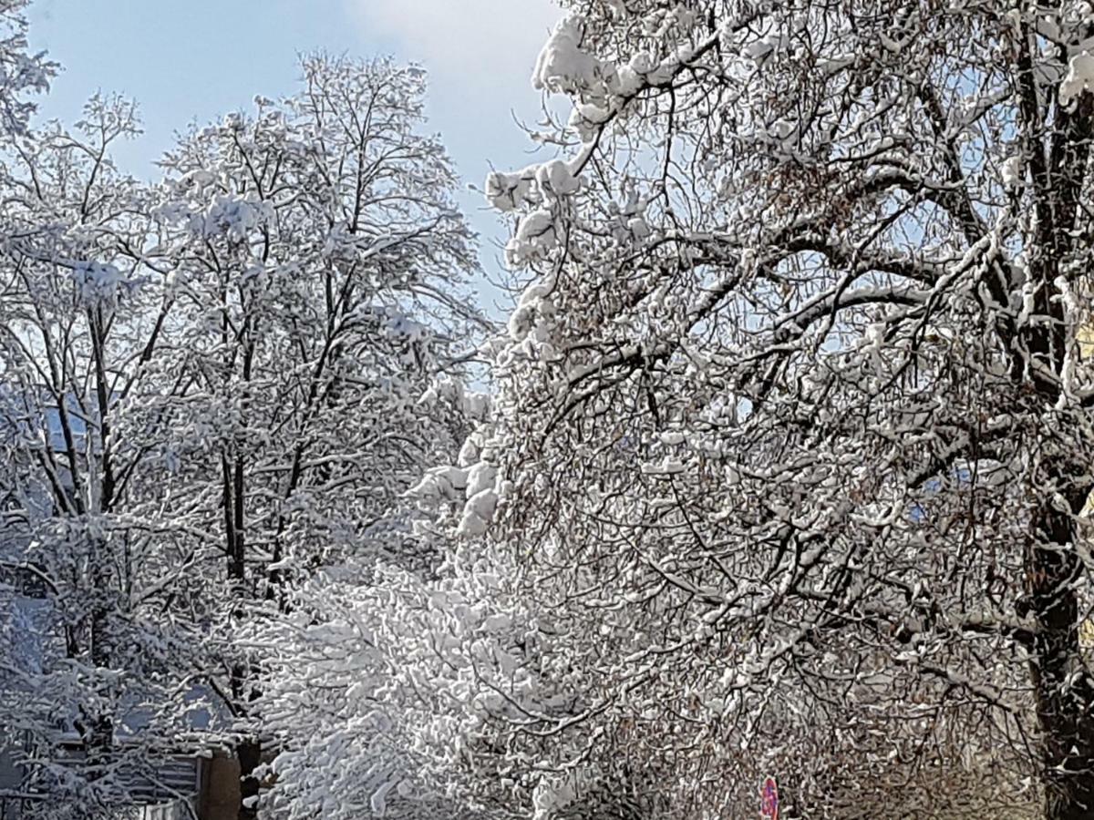 Stas -Przy Szkole Nr 3 W Skawie Skawa Luaran gambar